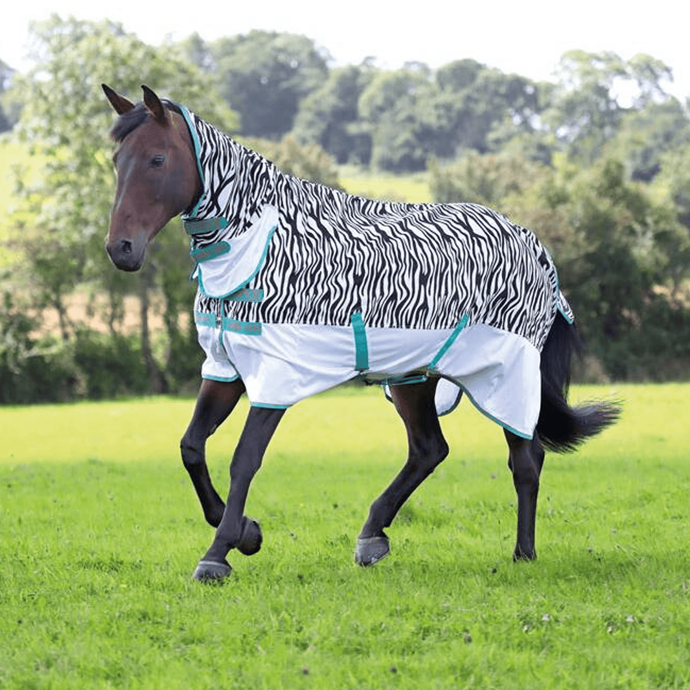 Mark Todd Air Mesh Combo Fly Rug Free Uk Delivery Equus
