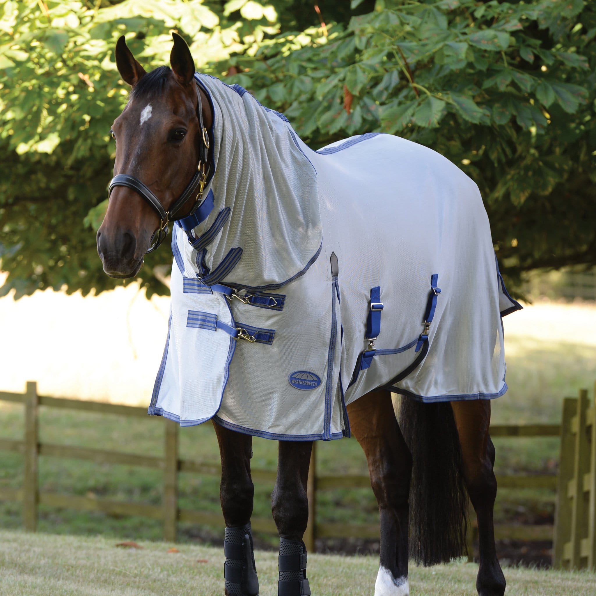 Mark Todd Air Mesh Combo Fly Rug Free Uk Delivery Equus