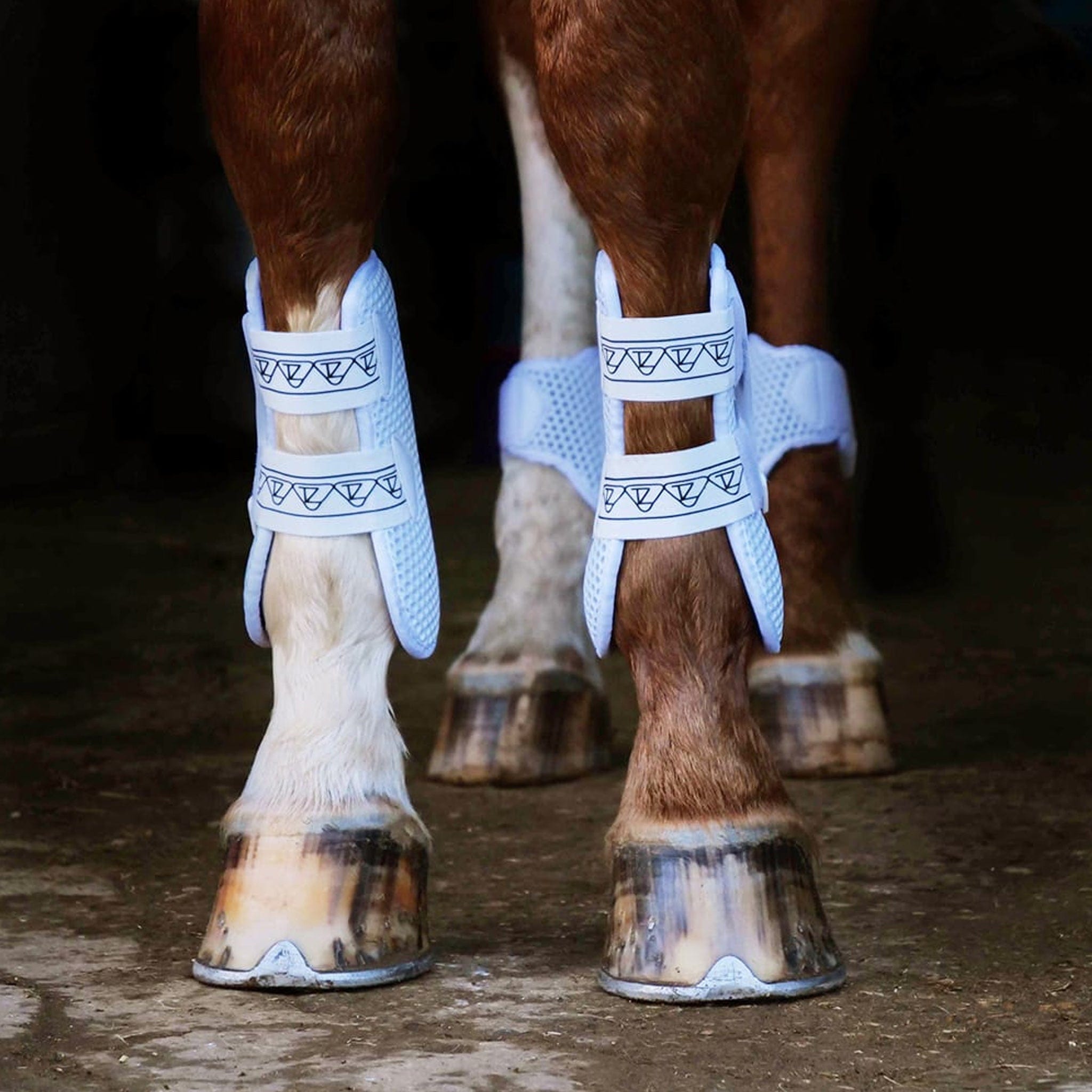 trizone tendon boots