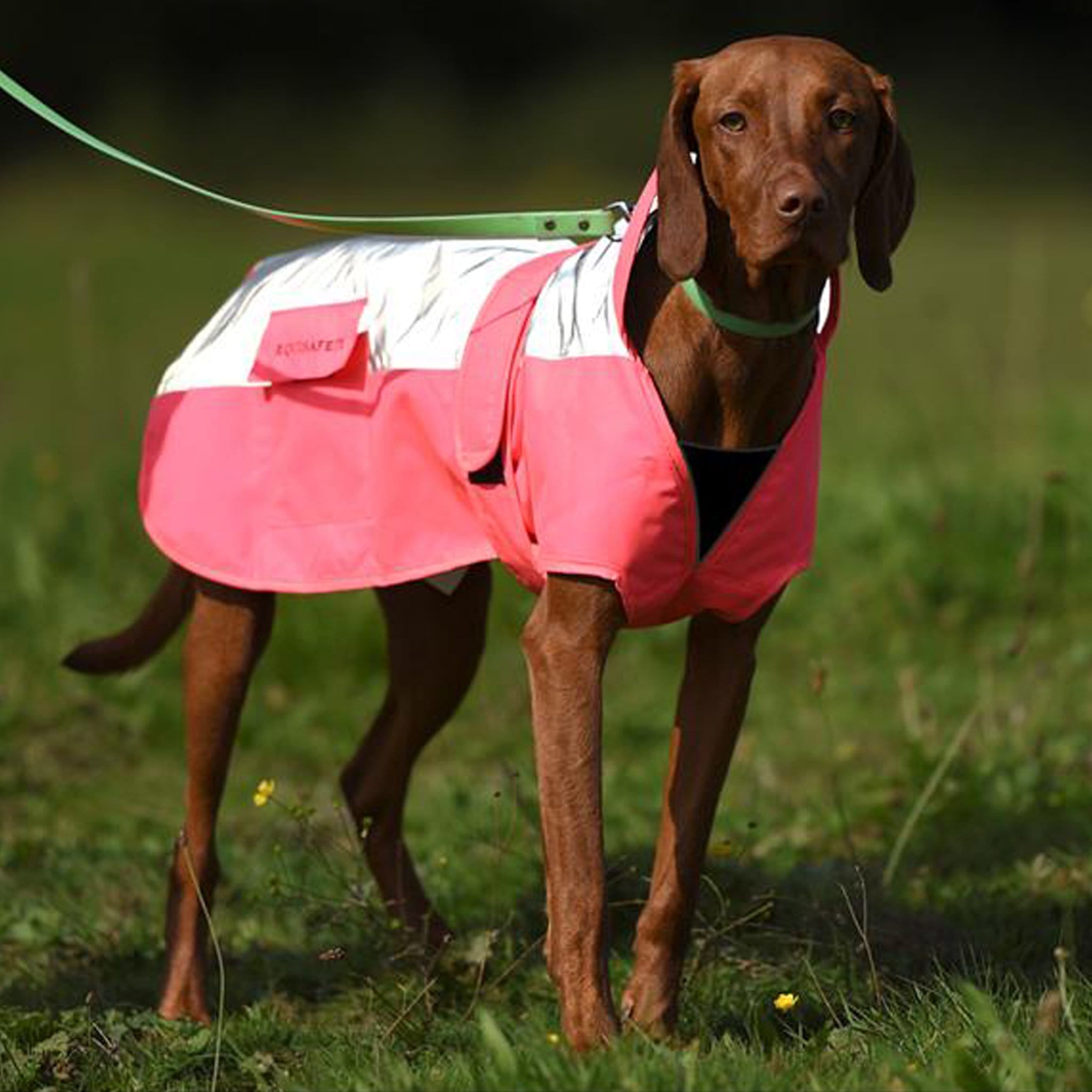 pink hi vis dog coat