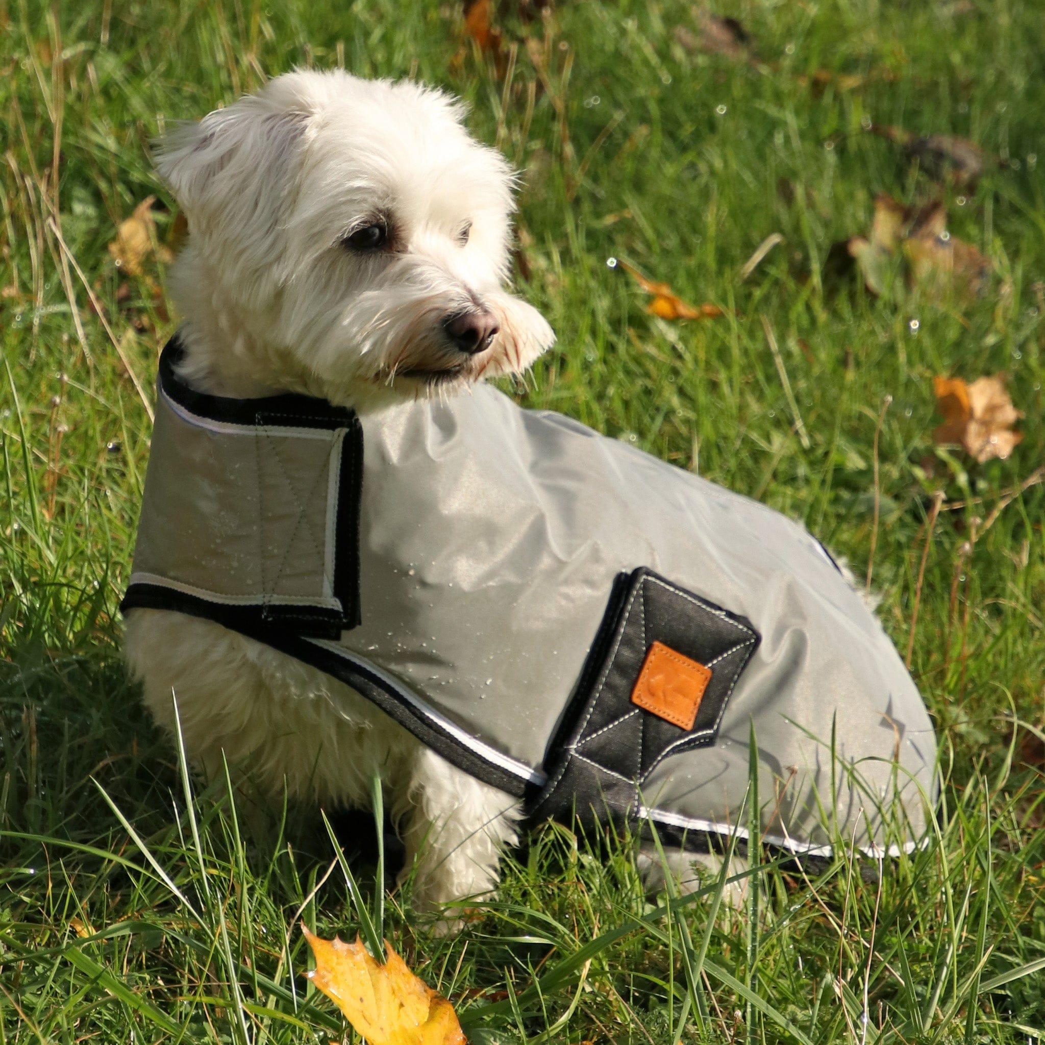 hy dog coat