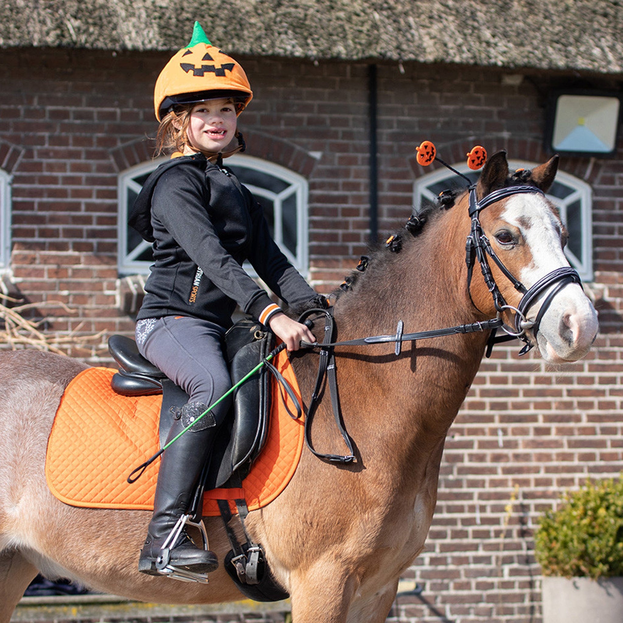 waterproof horse riding hat cover