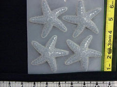 starfish mold