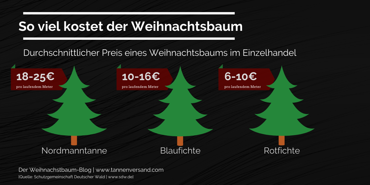 So viel kostet ein Weihnachtsbaum