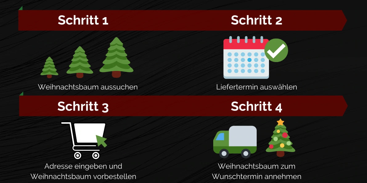 4 Schritte zum Weihnachtsbaum