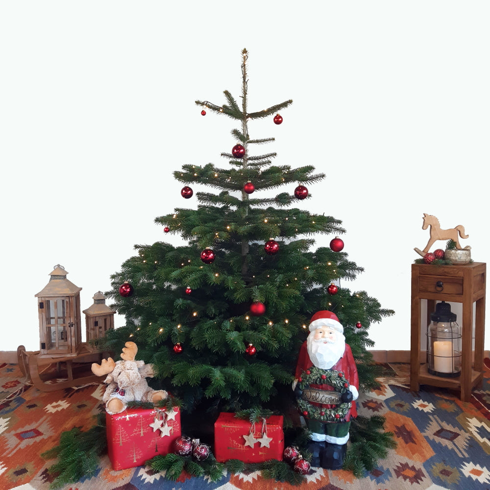 Weihnachtsbaum geschlagen geschmückt