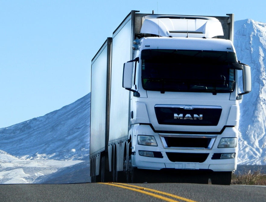 LKW Spedition Weihnachtbäume LKW Spedition Weihnachtbäume