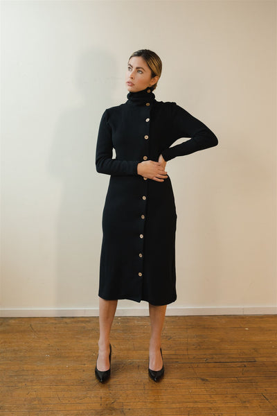 Rachel turtleneck dress