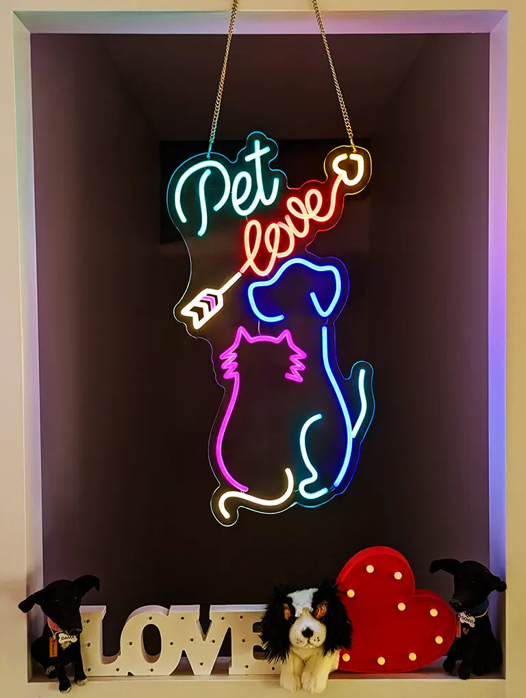 Photo of an LED Neon Sign