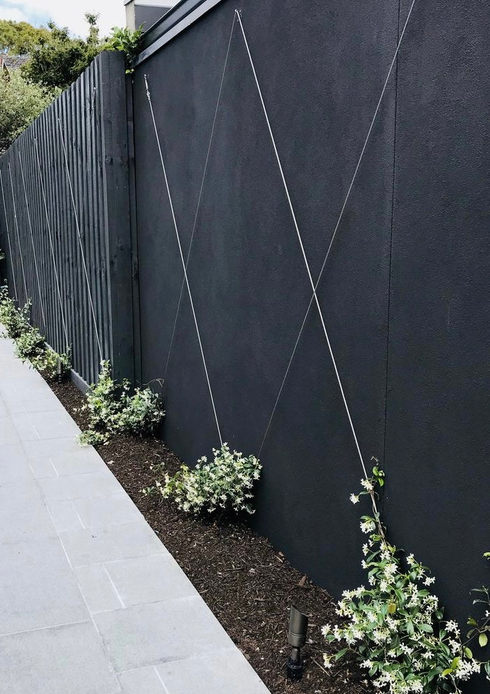 Climbing Into Stylish Gardening with a Stainless Steel Trellis Kit