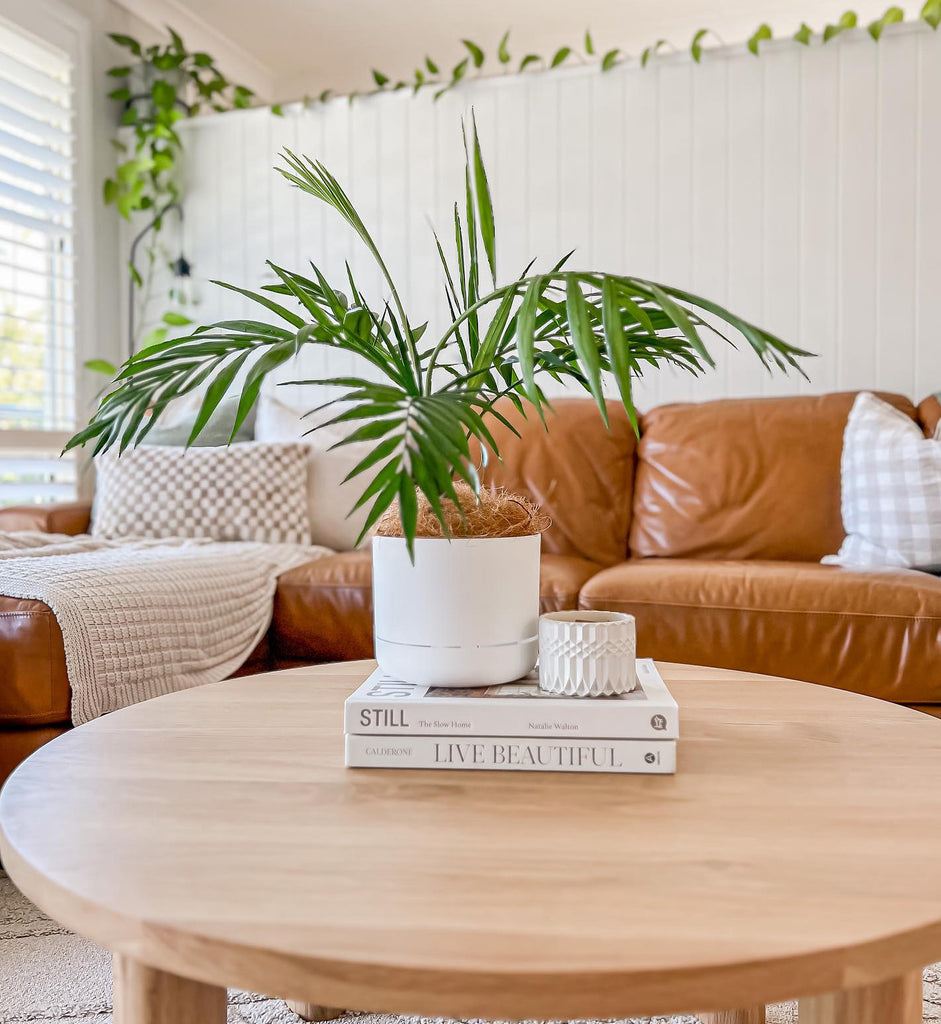 Add Houseplants In To Your Decor This Winter