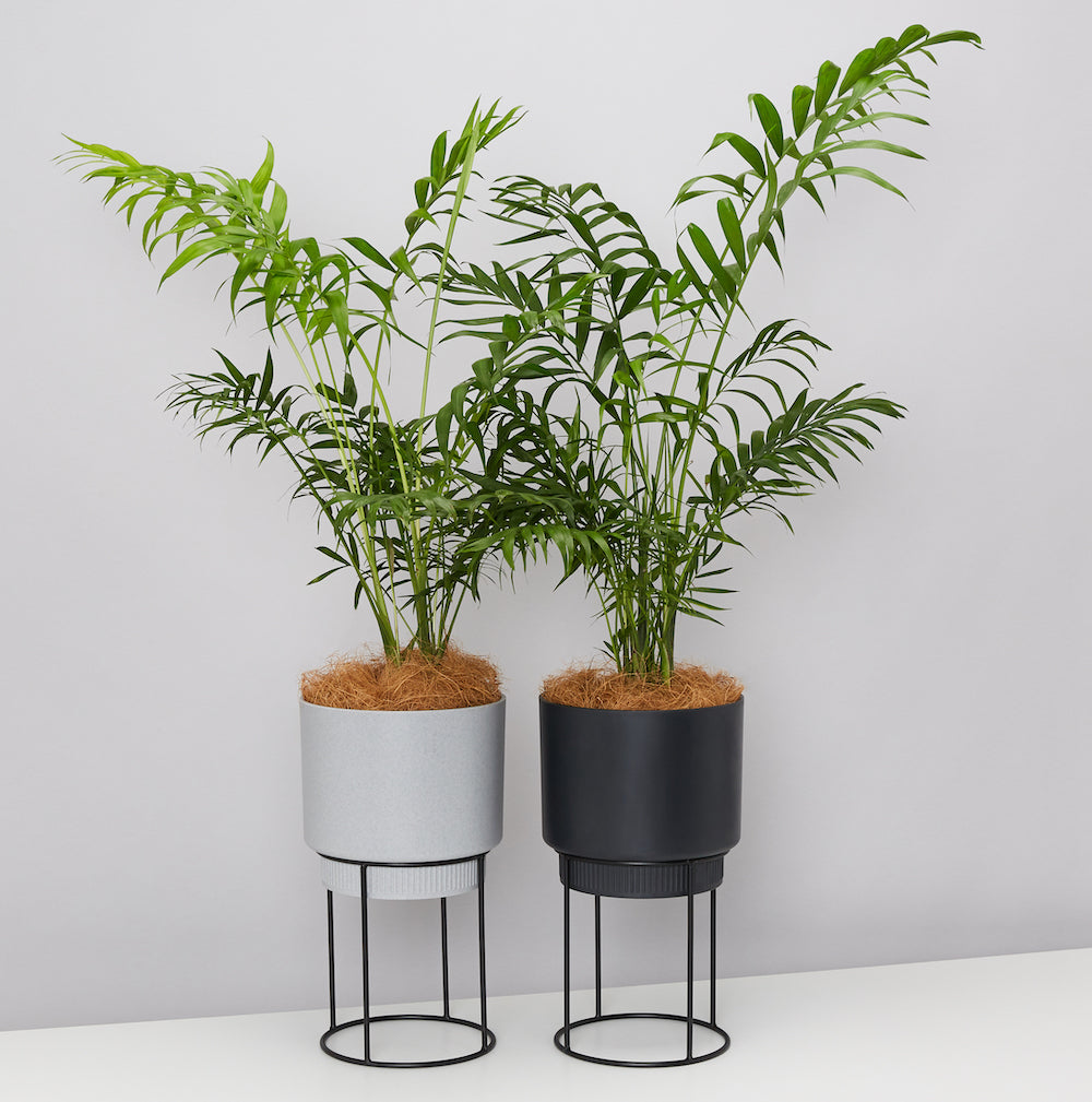 Eco Flower Pots For Homewares Range - Free Shipping Australia