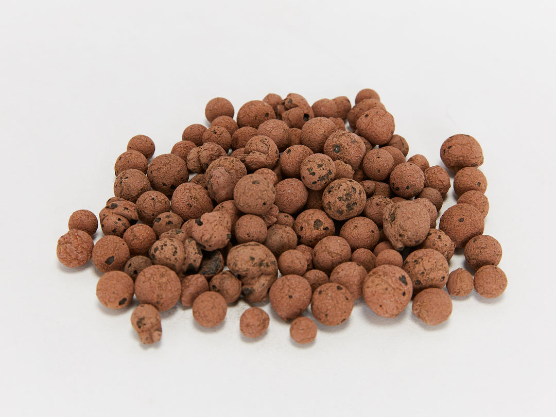 LECA Clay Balls - 1L Bags, Buy Online Aus