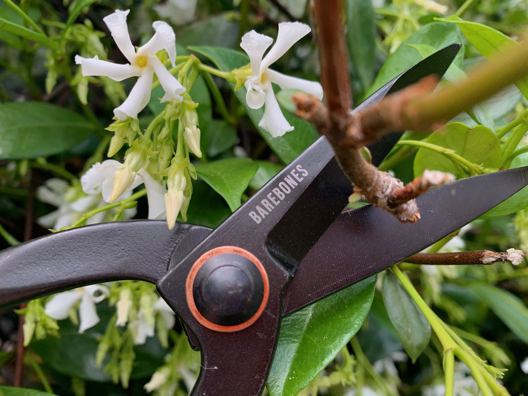 Large Garden Scissors by Barebones