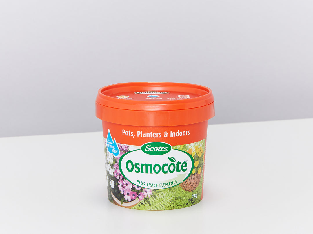Slow Release Plant Food for indoors and outdoors, Osmocote