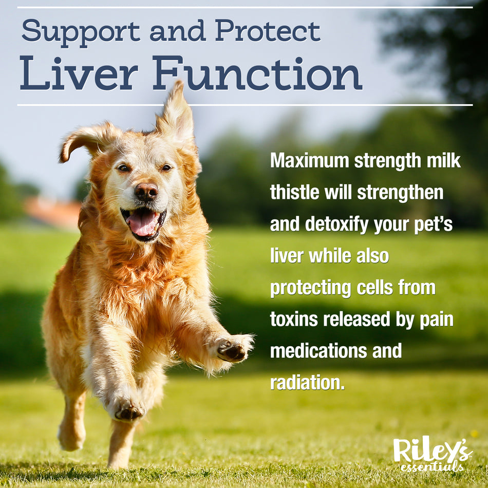 milk thistle for dogs liver