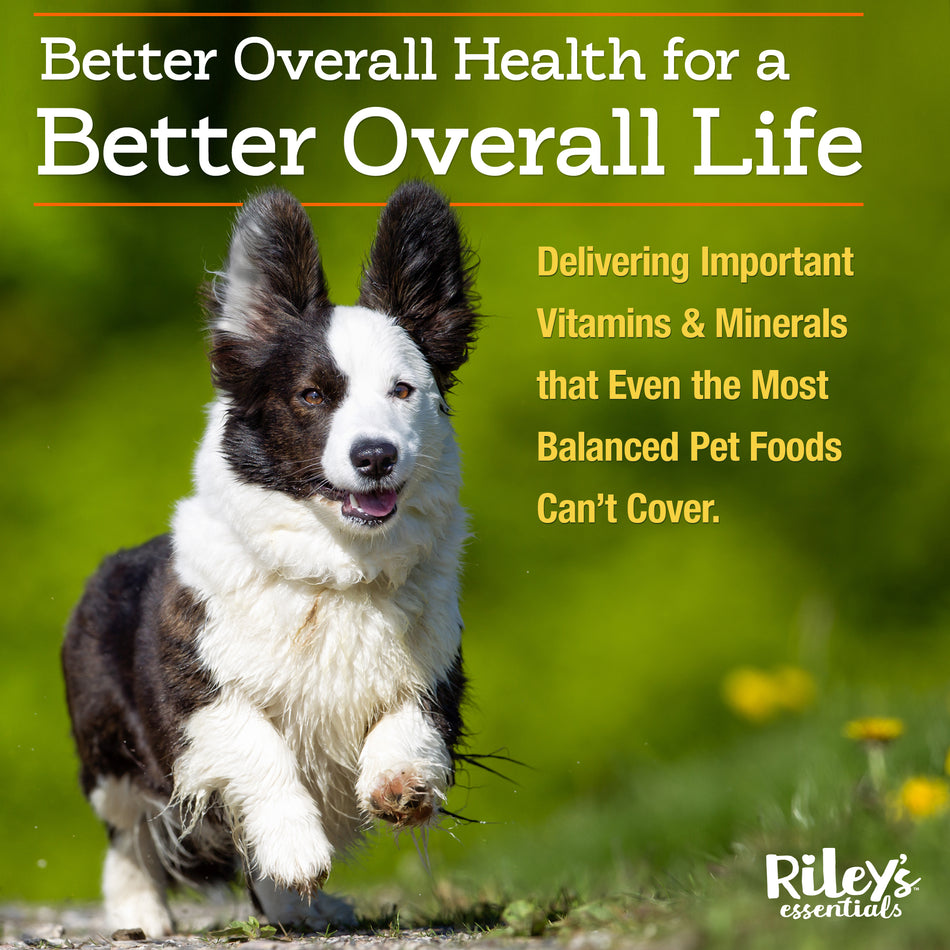 animal essentials multivitamin