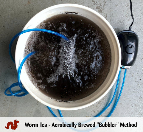 Worm Tea - Bubbler Method