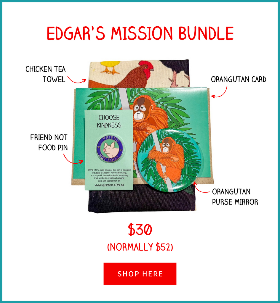Edgar's Mission Bundle