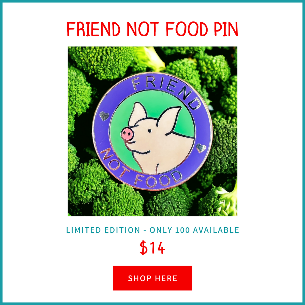 Friend Not Food Pin