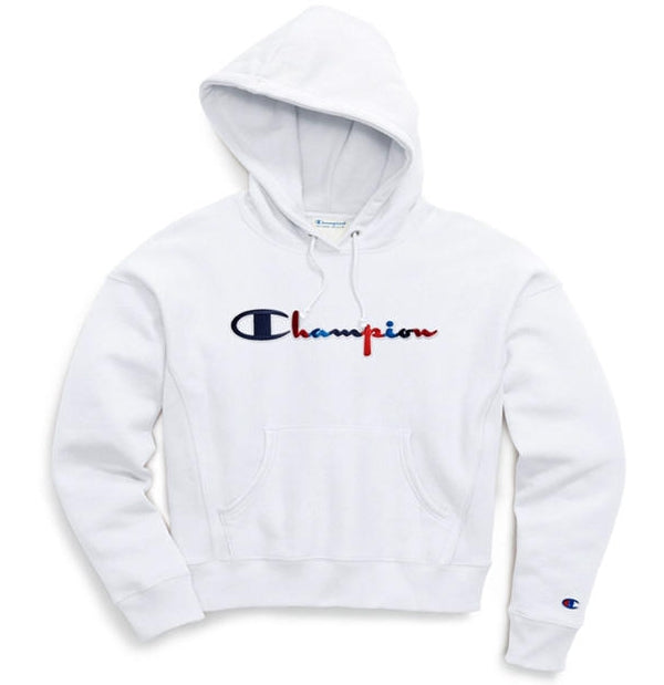 3 color champion hoodie