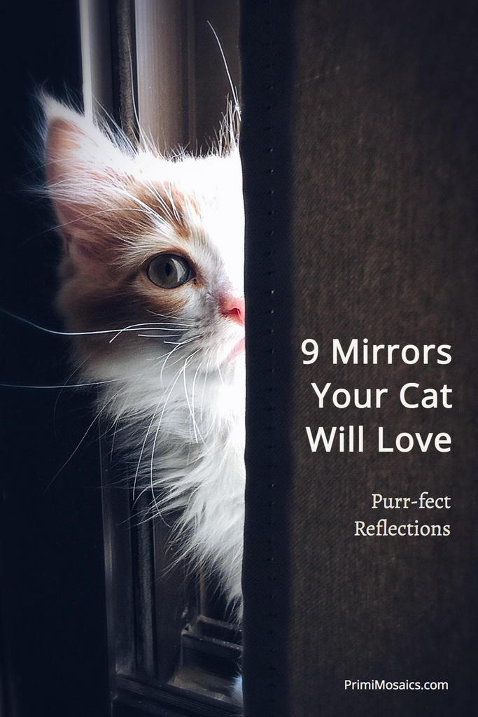 Cover page for blog "9 Mirrors Your Cat Will Love"