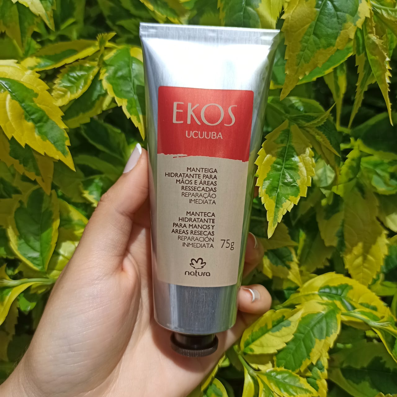 Ekos Pulpa Hidratante para Manos Ucuuba – Beaute Florale