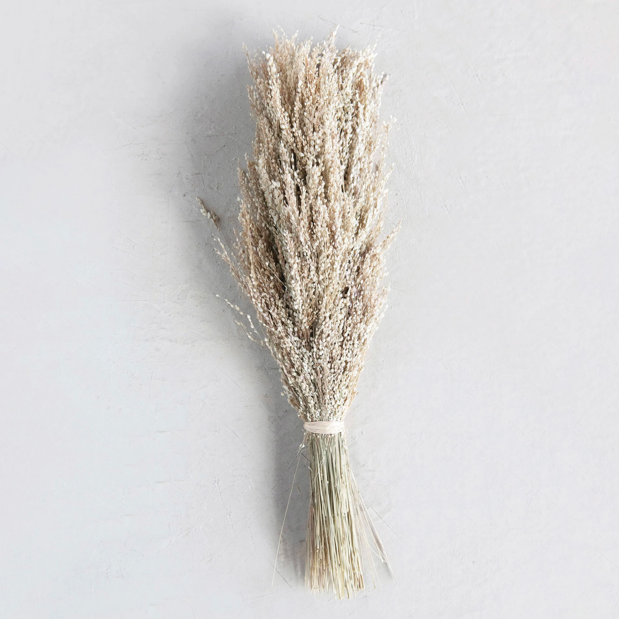 Image of Dried Grass Bunch, Natural, 19.75"
