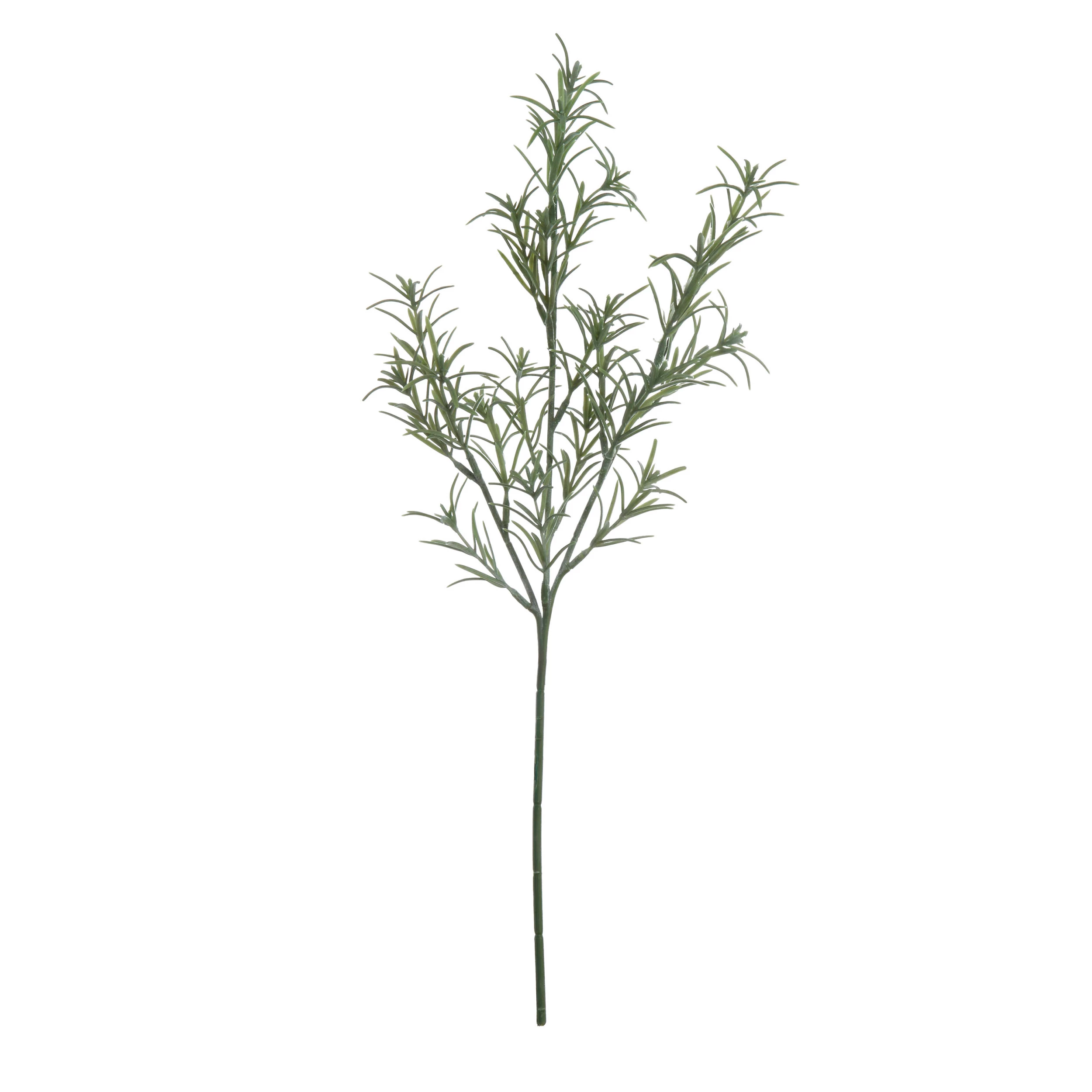 Image of Rosemary Stems, 19