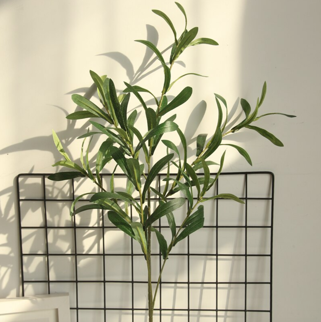 Image of Olive Branch Stems, Green