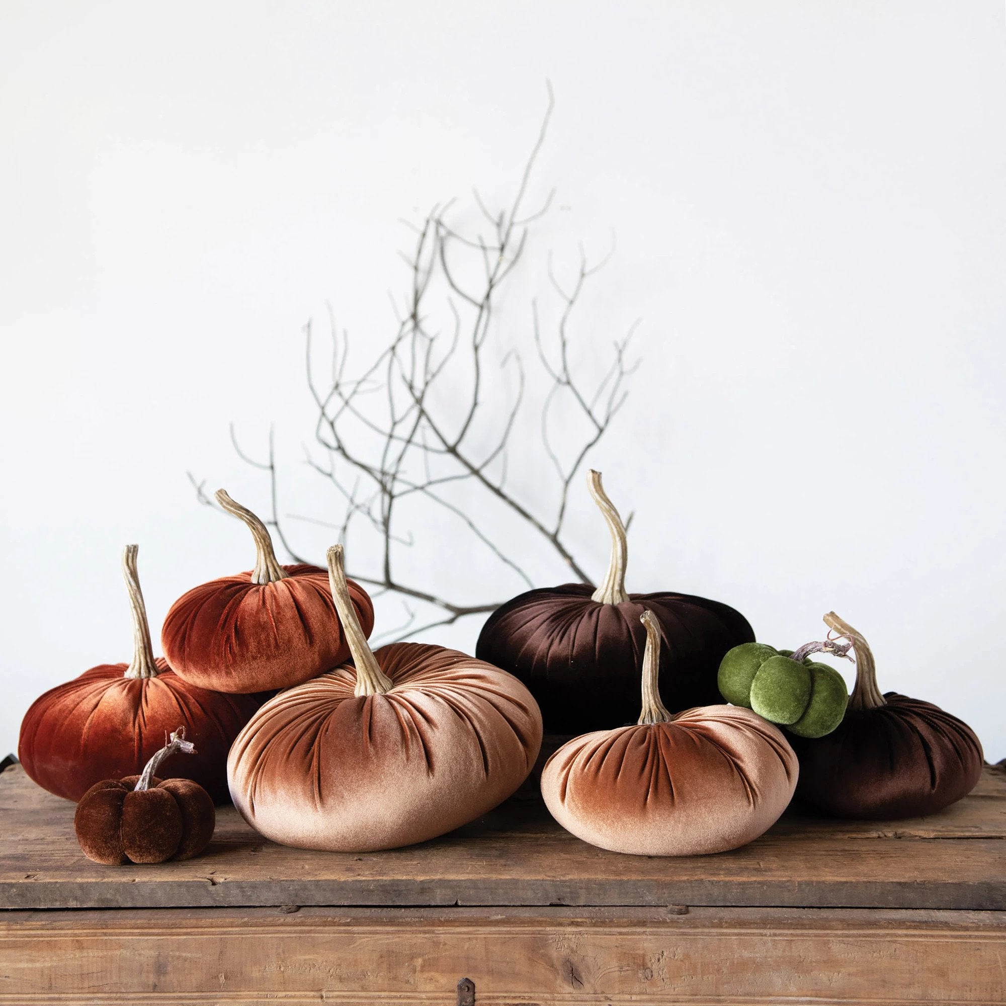 Image of Velvet Pumpkins