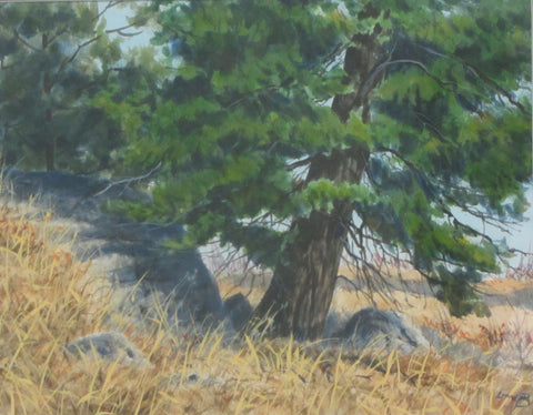 Fir on the Rocks, acrylic on paper by Bruce Crawford