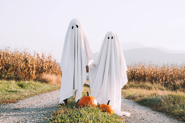 Kids in Bedsheet Costumes