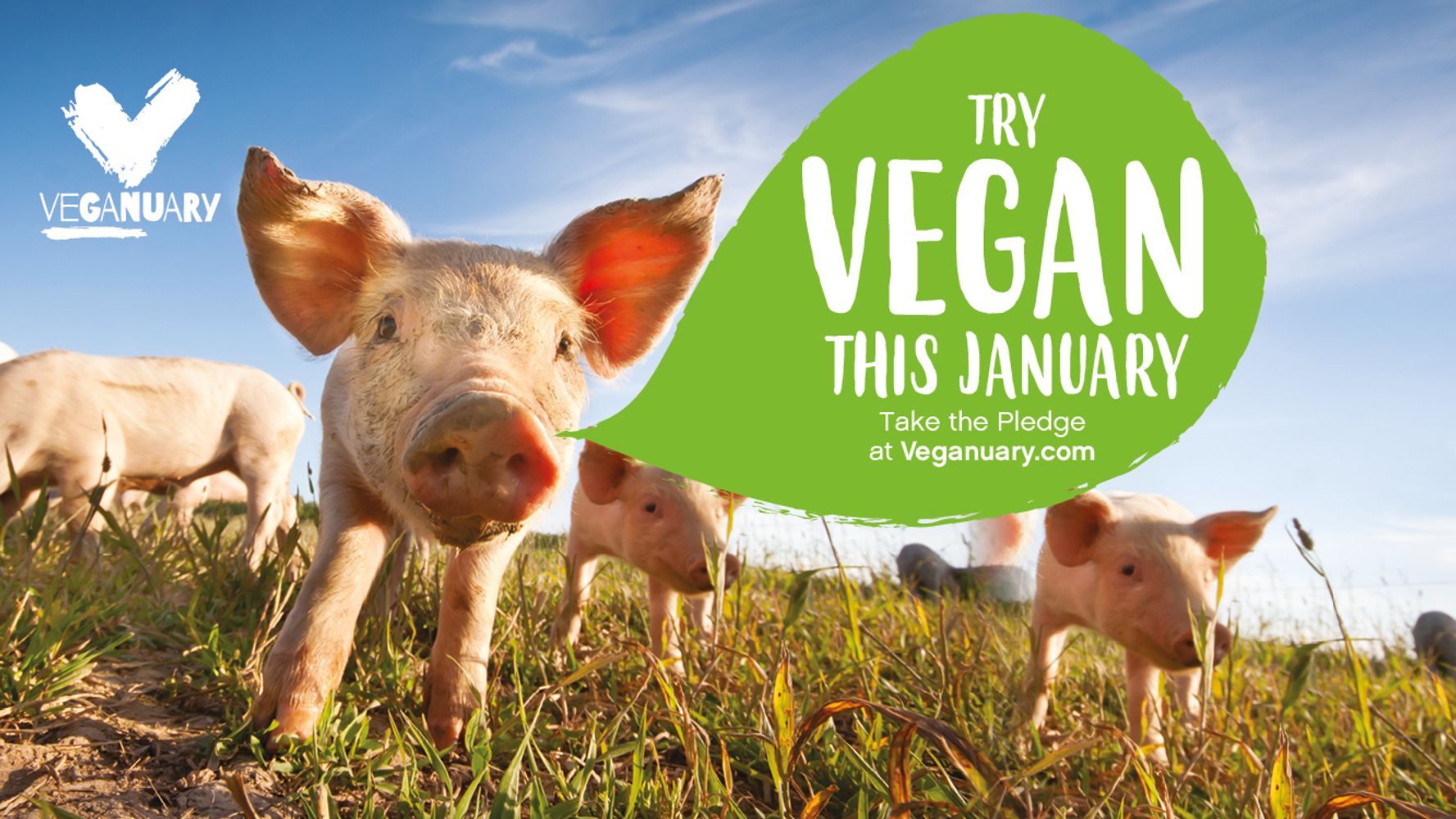 TIPS TO HELP YOU SUCCEED AT VEGANUARY 2021