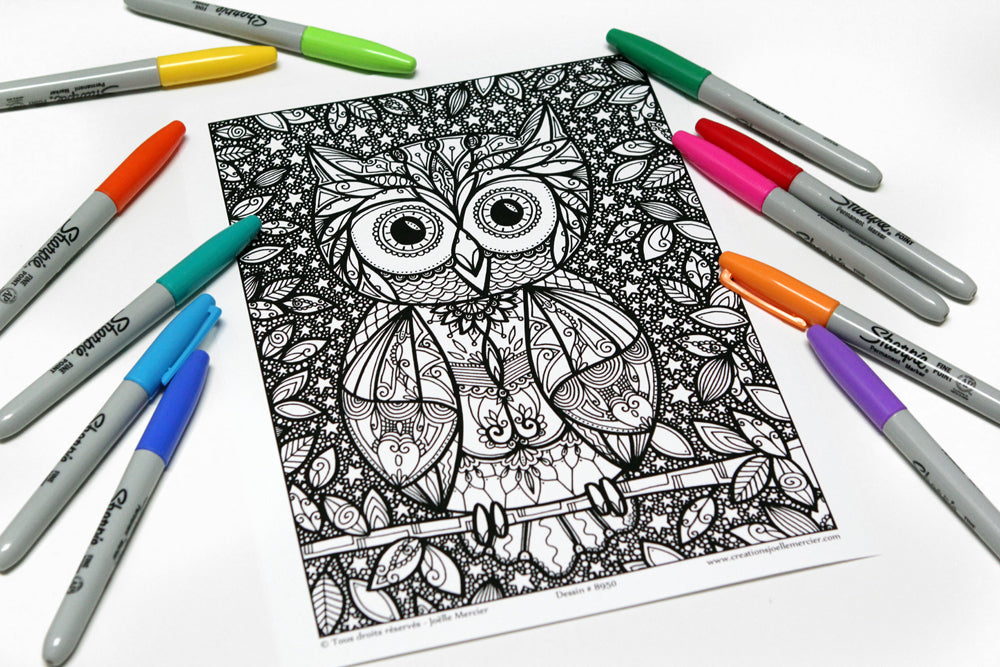 Dessin 8950 Mandala à Colorier Imprimé Sur Carton Oiseau Hibou