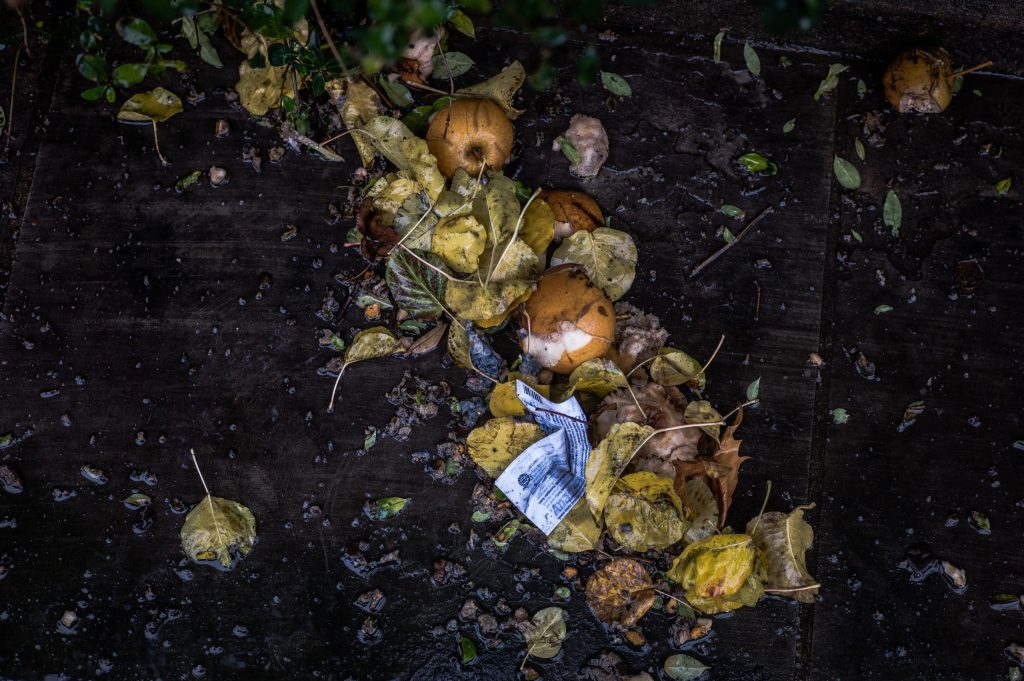 réduire son impact environnemental par l'alimentation