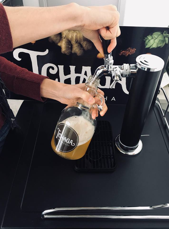 tchaga kombucha