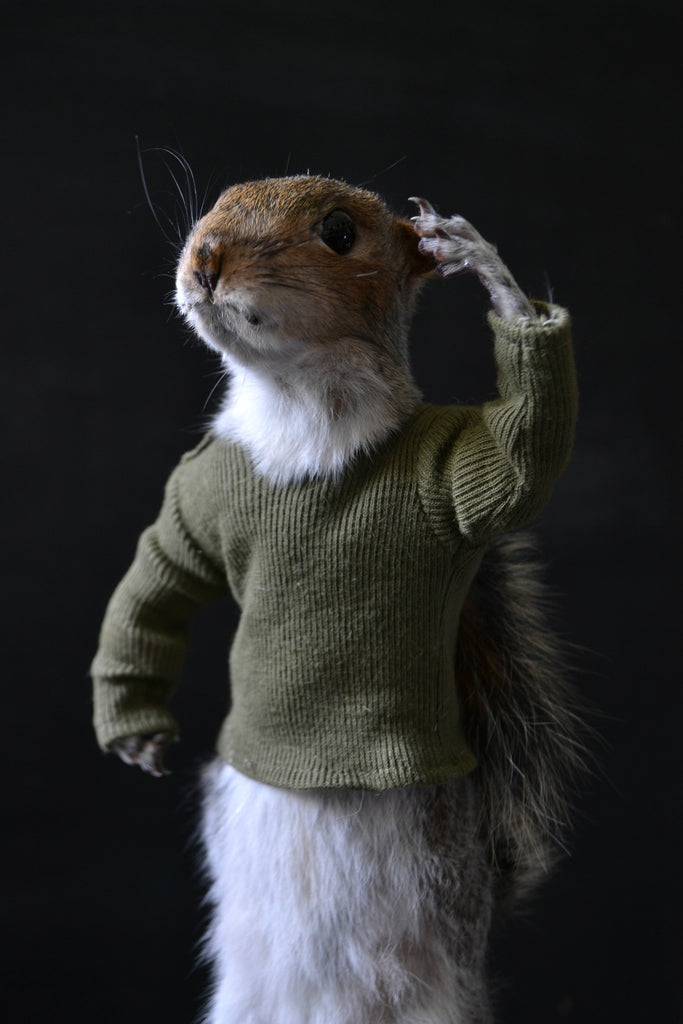 Salute! Soldier Squirrel. - Hunter and Rose