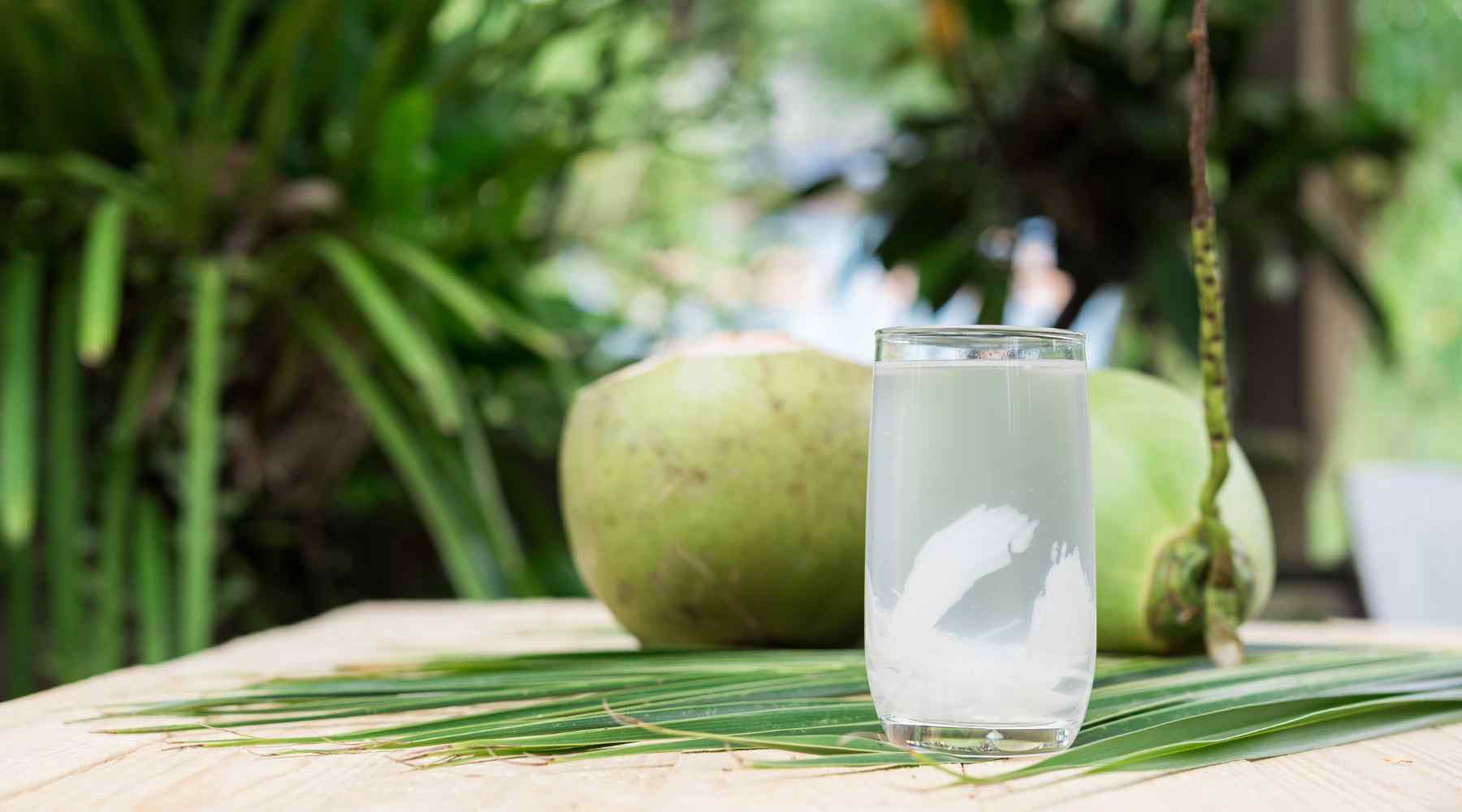 can you drink too much coconut water