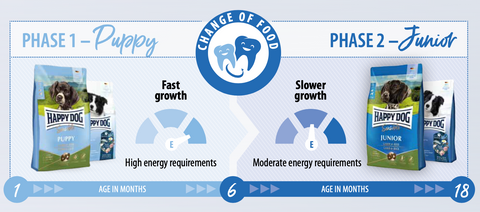 Growth Phases