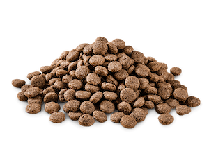 dry dog food