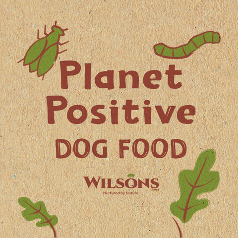 Planet Positive Dog Food