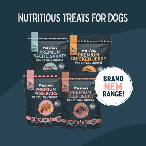 brand new range of nutritious treats for dogs 