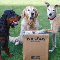 Wilsons Pet Food Delivery