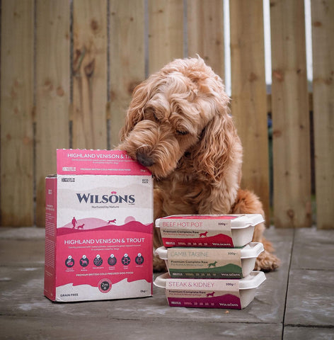 Wilsons Pet Food