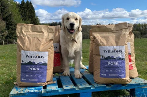 Working dog food on pallet