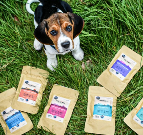 Cold Pressed Samples for Puppies