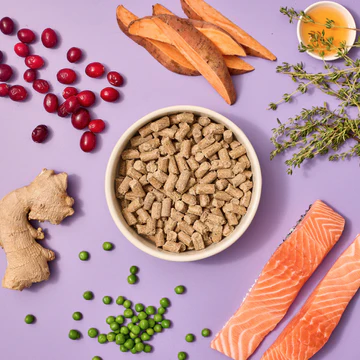 Salmon Cold Pressed Dog Food