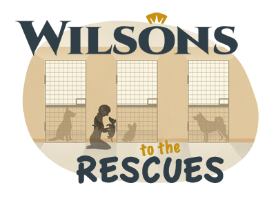 Wilsons to the Rescues