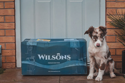 Delivery of Wilsons